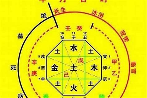 时辰八字表|生辰八字算命、五行喜用神查询（免费测算）